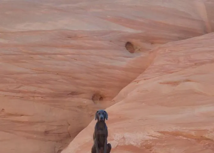 ️viewspets Okboat Parkingnear Canyons &